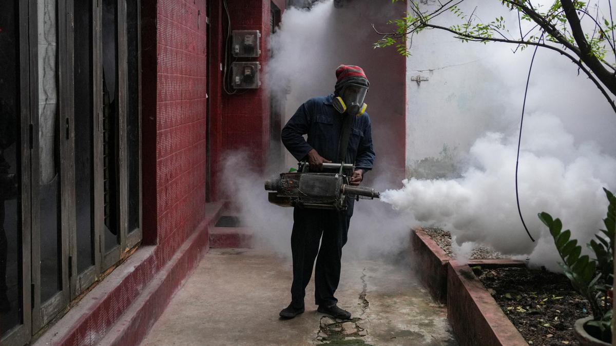 Why is Sri Lanka’s dengue outbreak straining its public health sector? | Explained