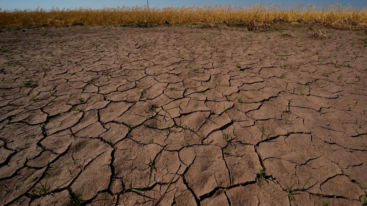 El Nino is here and scientists fear it’ll be big, bad and costly with heat, floods, droughts, fires
