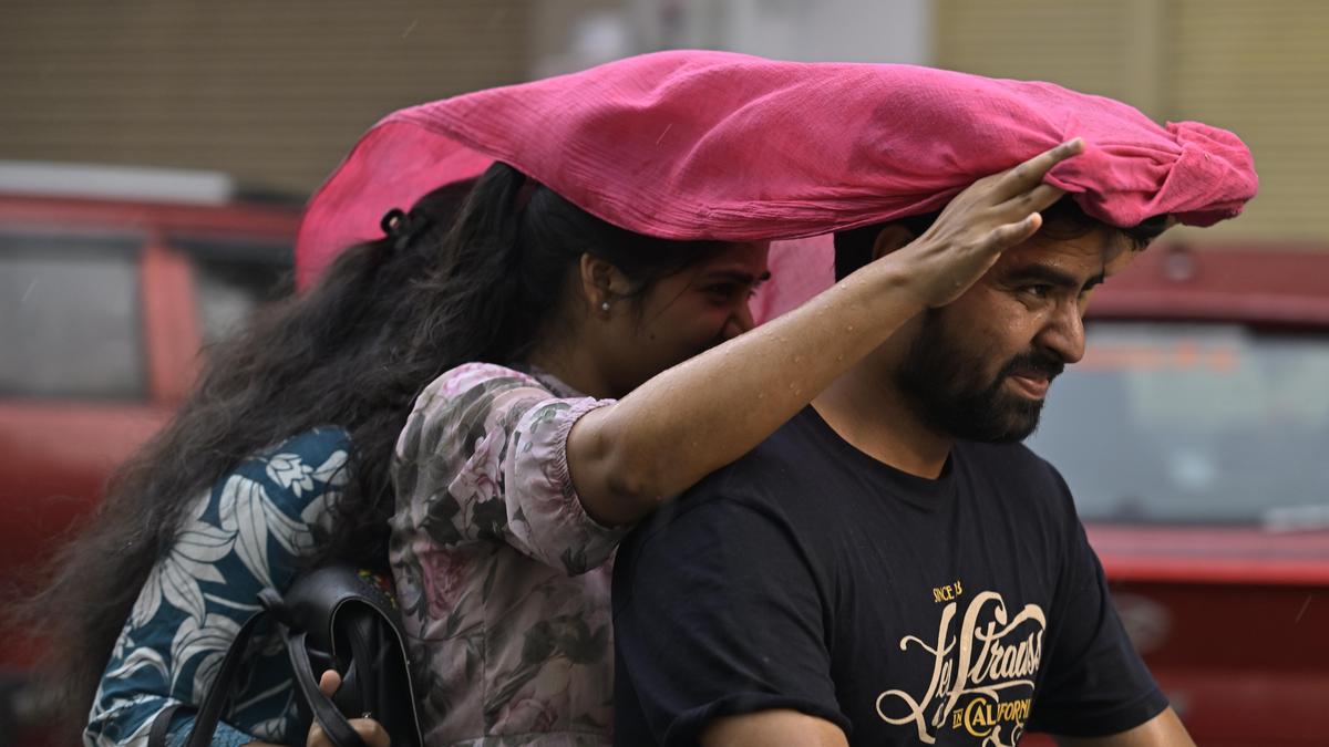 Telangana Health department issues monsoon advisory, warns of seasonal disease surge