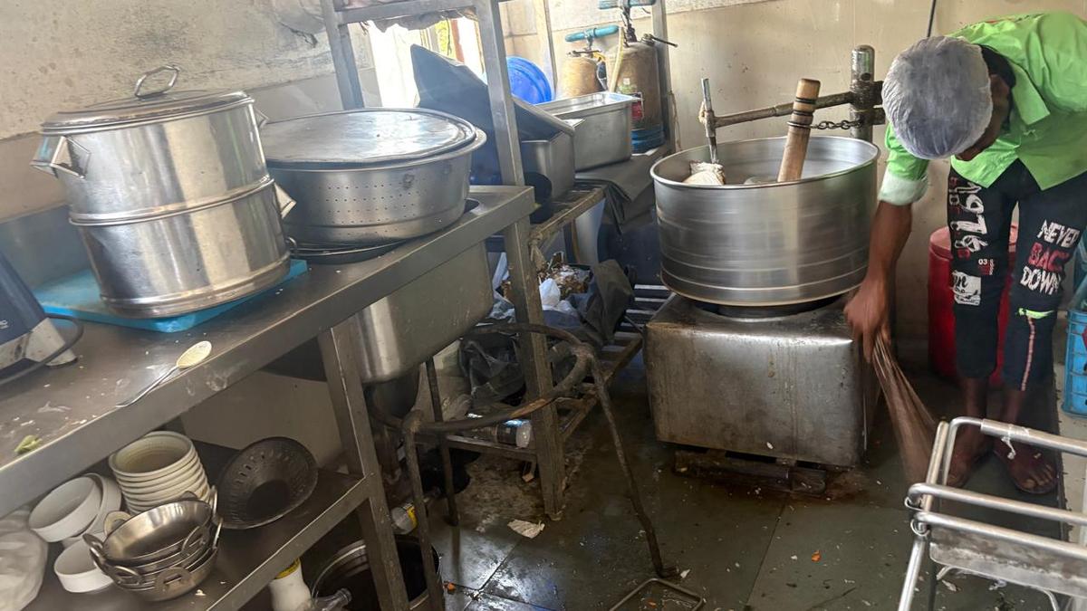 Cockroaches in kitchen, mould growth on vegetables found during Cyberabad food safety inspections