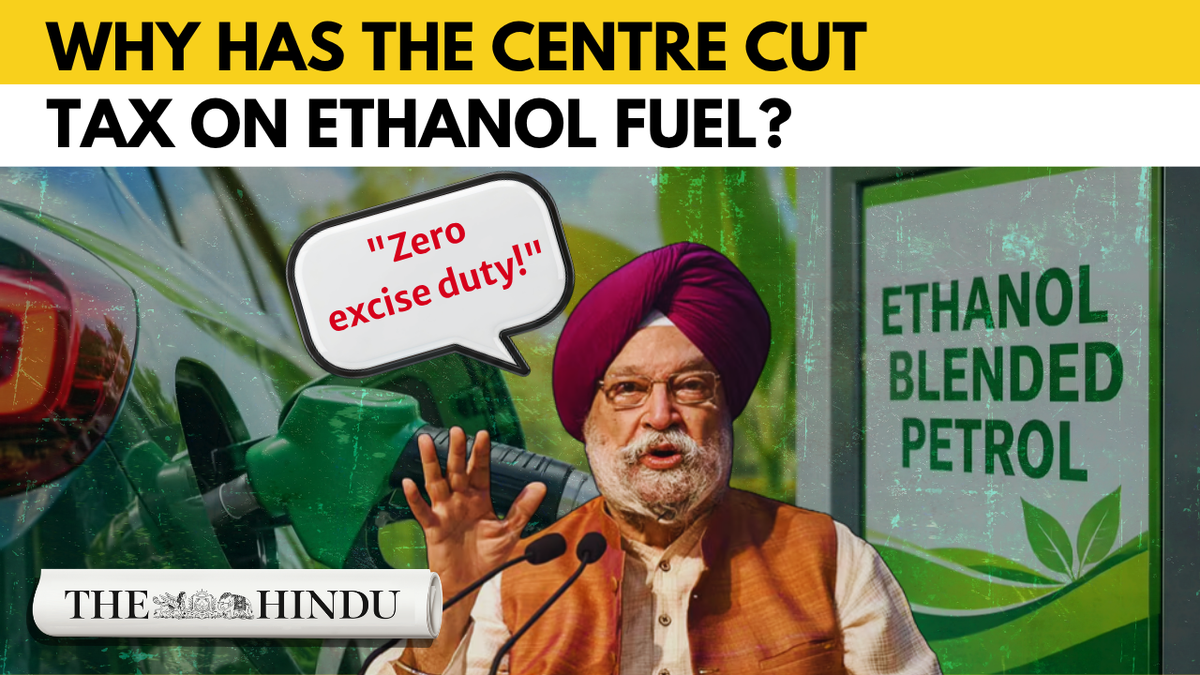 Watch: Government waives excise duty on E22 to E30 petrol blends