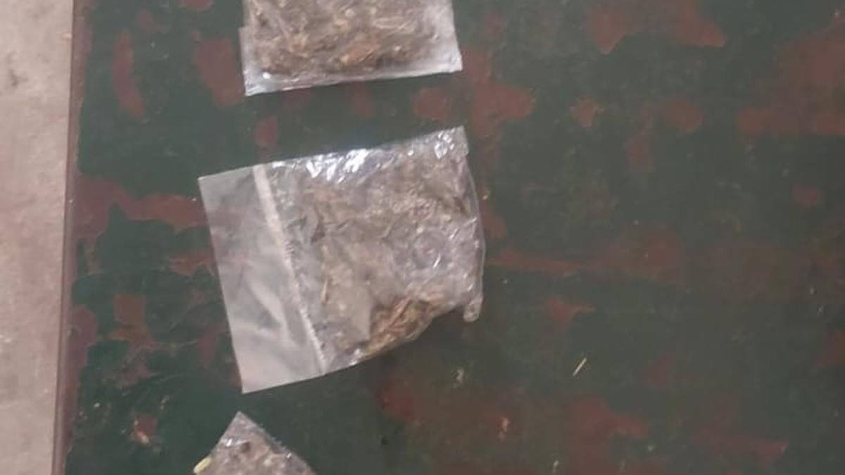 Three persons held for possession of ganja
