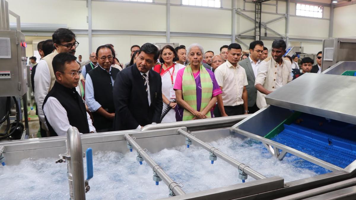 Nirmala Sitharaman inaugurates Northeast’s largest spice processing plant in Meghalaya