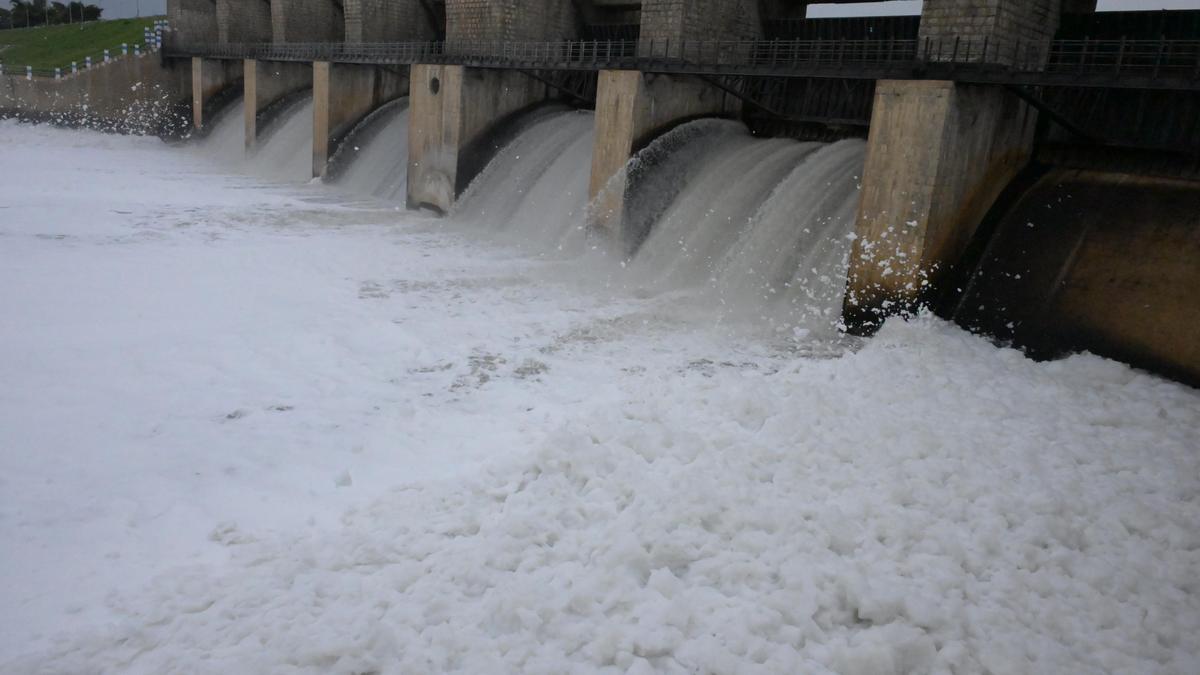 Farmers demand to control foam in Krishnagiri’s Kelavarapalli Dam