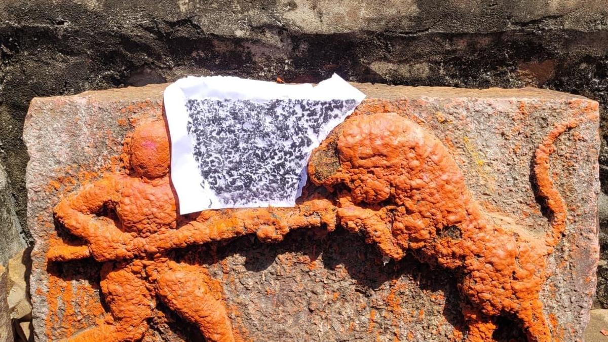 ASI deciphers inscriptions discovered in Nallamala forest dating to 15th century