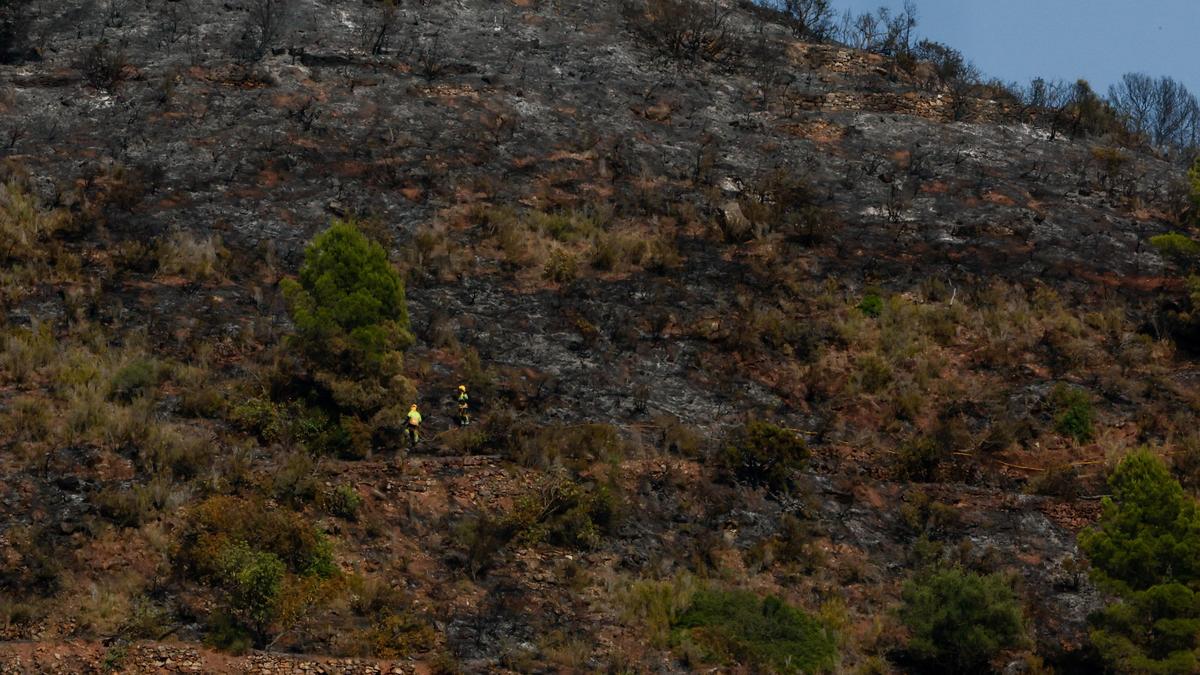 Death toll in Southern Spain wildfire climbs to 12