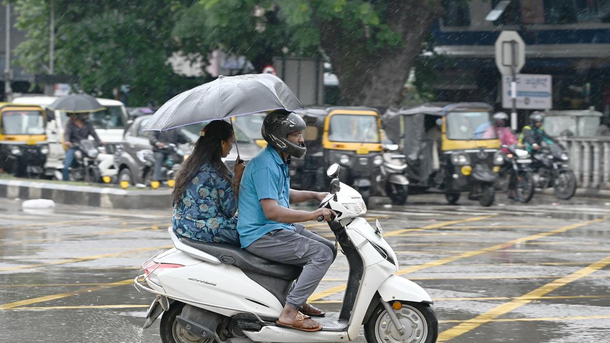Karnataka rains: Schools closed in parts of Malnad region
