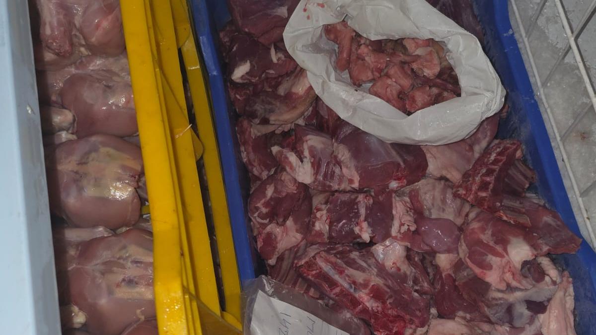 Stale food, cockroaches, rat droppings found at Hyderabad restaurants during food safety inspections