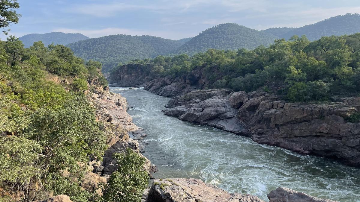 What is the rationale behind Cauvery panel’s decision on release of water to T.N.? | Explained