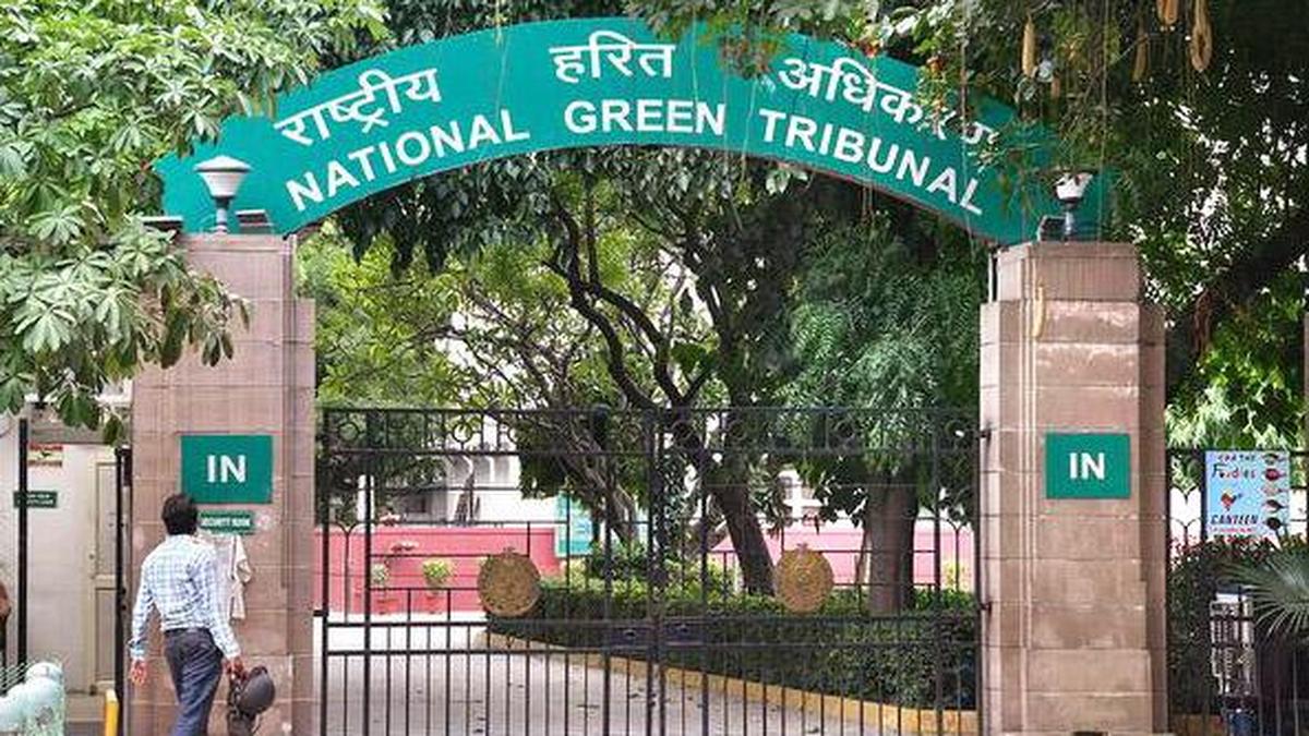 NGT directs Ghaziabad DM to prevent illegal construction in city forest