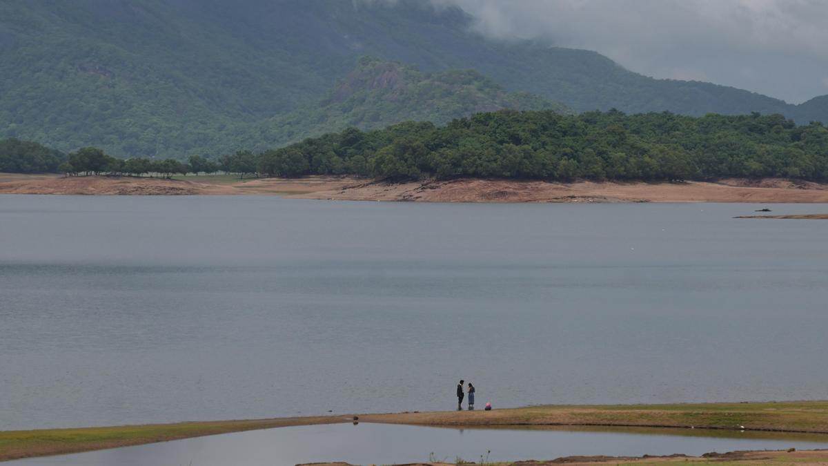 Kerala rains: Water from Idukki Pambla dam released; residents along Periyar advised caution