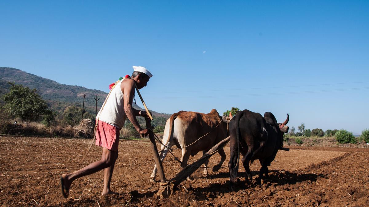 Farmer, worker groups to intensify protests against Centre’s policies