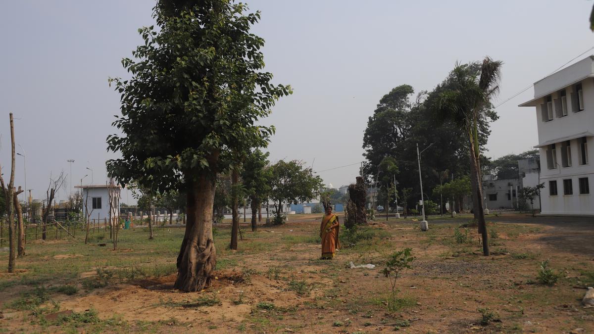 Initiative launched to create Campus Biodiversity Registers across colleges, unversities in India