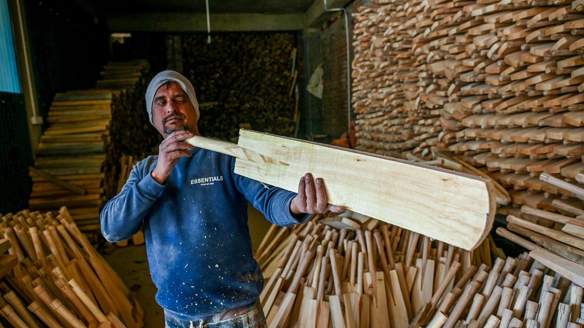 Kashmir’s bat-making industry: Deflating the wind in the willows