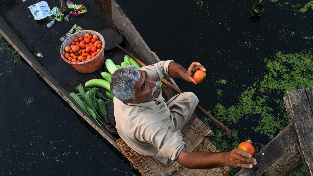 WPI inflation eases marginally to 9.78% in July; food, fuel and power prices cool