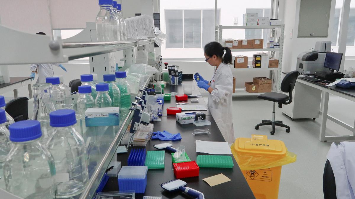 Transport, pharma and biotech as industry become India’s biggest research investors