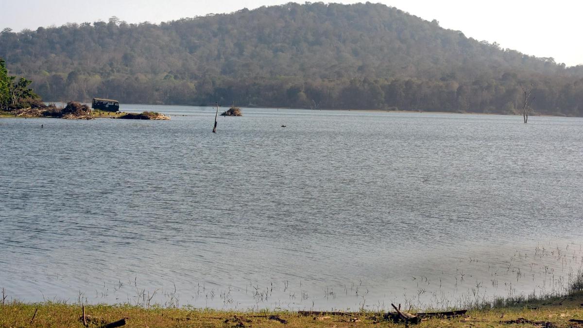 DC forms panel to probe ‘pollution’ of Kabini backwaters
