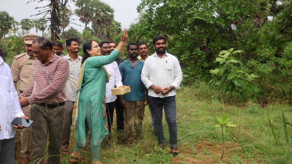 Nellimarla turns to Miyawaki forest to increase green cover