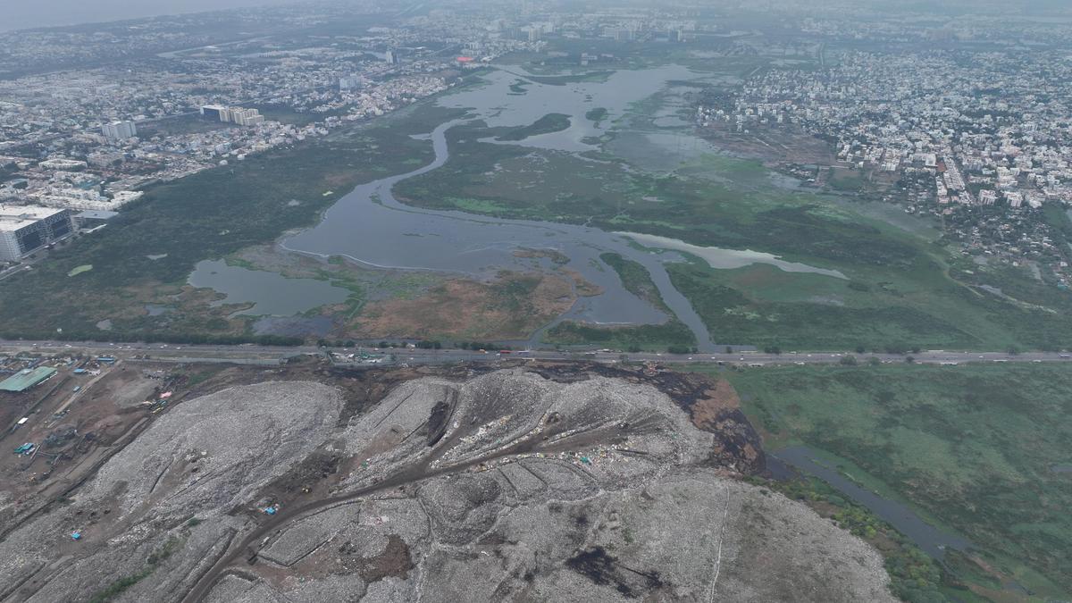 Construction activities around Pallikaranai marshland can be regulated, not banned: TNSWA tells Madras High Court
