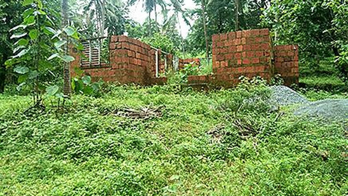 Ministerial team to visit Aralam farm to review human-wildlife conflict mitigation measures
