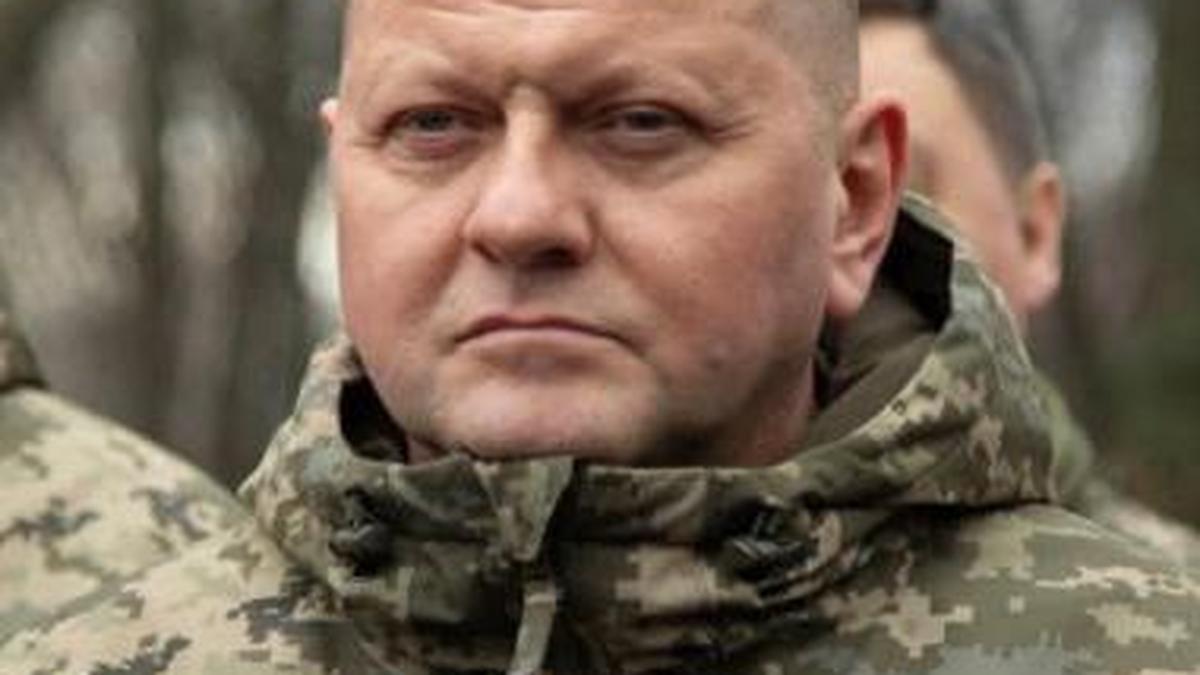 Former Ukrainian top commander sees no prospect of Kyiv joining NATO
