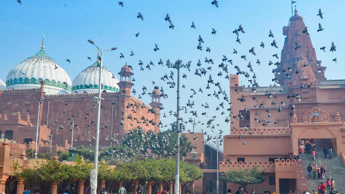 SC indicates referring question of lead case in Krishna Janmabhoomi dispute to HC