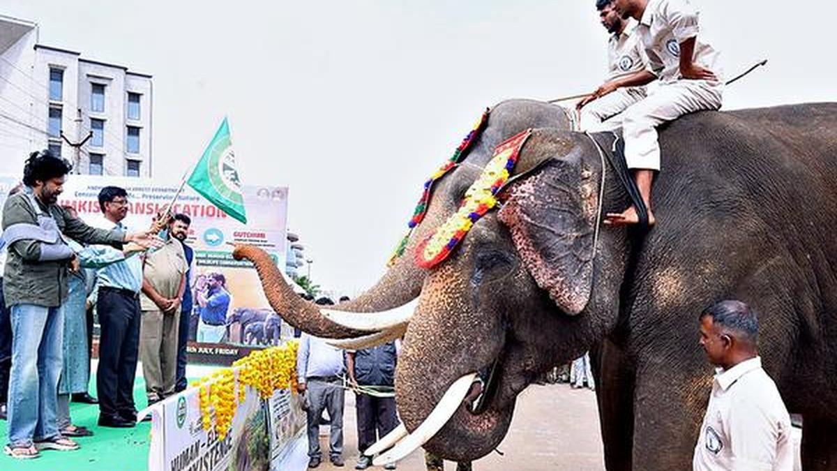 Elephants are guardians of our forests, says Pawan Kalyan on World Elephant Day