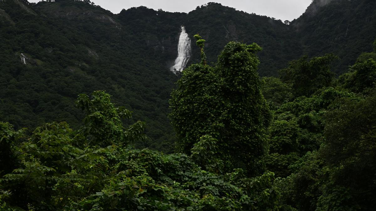 Centre reissues notification on Western Ghats eco-sensitive zone amid deadlock with States