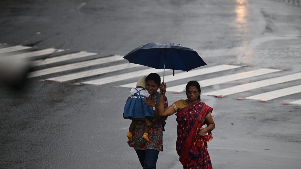 Kerala rains LIVE | Moderate heavy rain continues; CM to chair emergency meet